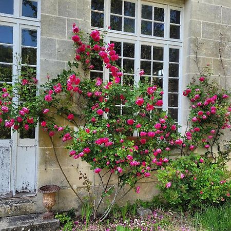 Castel Saint Laurent Langeais Dış mekan fotoğraf