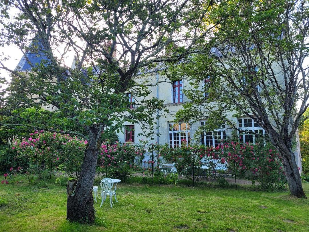 Castel Saint Laurent Langeais Dış mekan fotoğraf